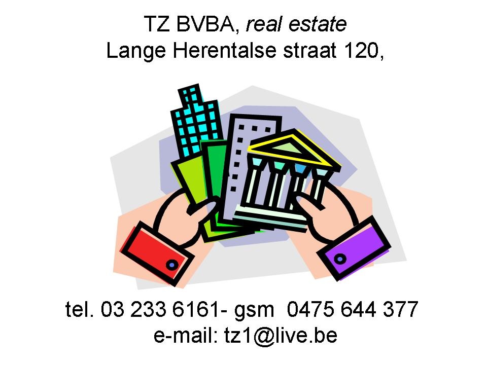 Chabad website advertentie TZ BVBA.jpg